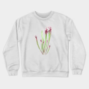 sarracenia leucophylla leaf watercolor Crewneck Sweatshirt